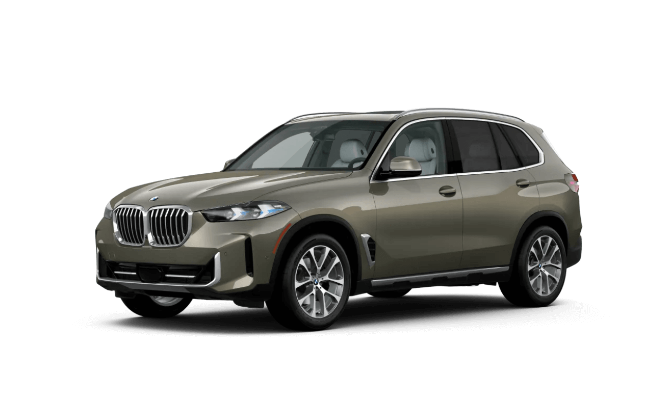 BMW X5 Black